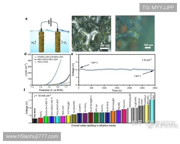 PT电子构型在催化剂设计中的关键作用与调控方法 PT电子构型在催化剂设计中的关键作用与调控方法