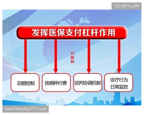 多平台兼容的老虎机系统开发与集成方案探讨