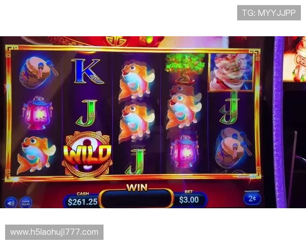 2024年最全的老虎机手机版下载攻略，帮助玩家快速上手畅玩无限精彩